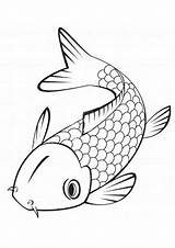 Koi Momjunction Fish Coloring sketch template