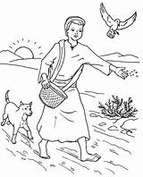 Coloring Seed Parable Sower Farmer Pages Seeds Among Thorns Scattered Bible Kids Sunday School Colouring Color Thorn Jesus Parables Printable sketch template