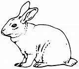 Rabbit Bunny Clipart Coloring Drawing Line Pages Realistic Rabit Sheets Easter Colouring Designs Cartoon Printable Animals Animal Gray Events Holidays sketch template