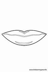 Mouth1 Outline Coloring Parts Body Navigation Post sketch template