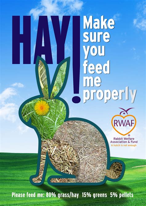resources rabbit welfare association and fund rwaf