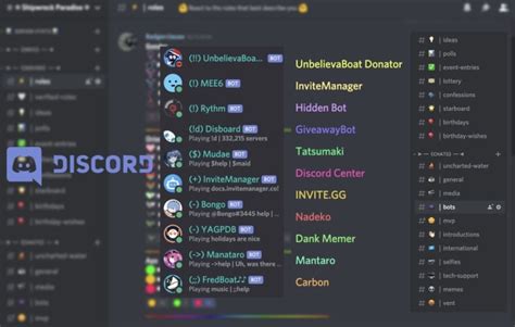 Make A Professional Discord Server Within 24 Hours By Superbadger Fiverr