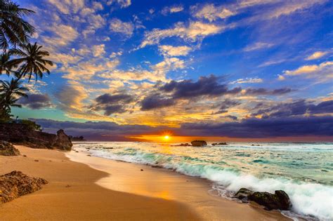 shane myers photography hawaiian sun