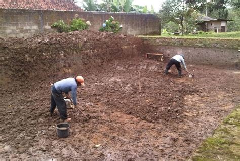 Cara Budidaya Ikan Nila Yang Dapat Meningkatkan Hasil Panen