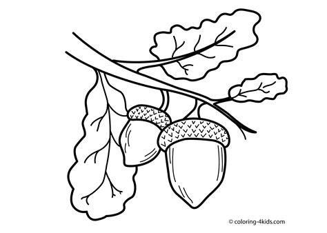 acorns coloring pages   acorns coloring pages png