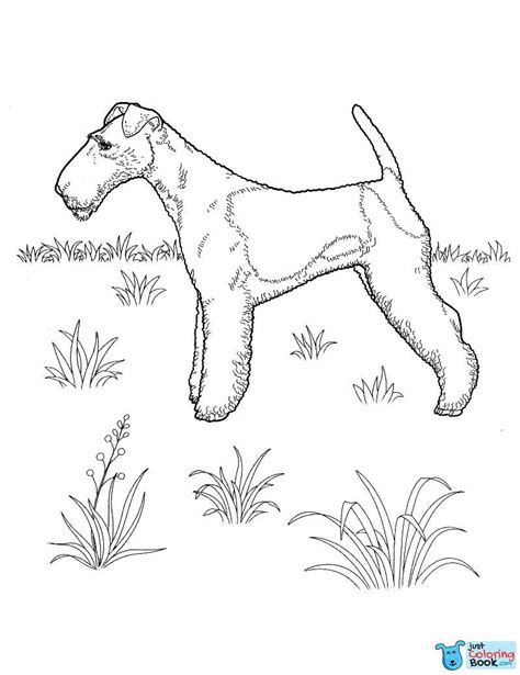 dog coloring pages  teenagers coloring pages dogs dog coloring
