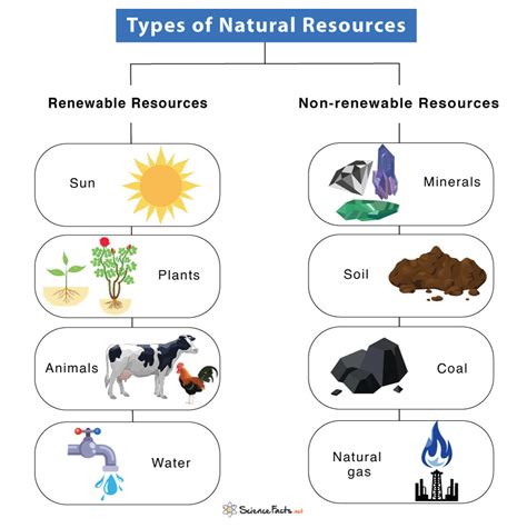 natural resources definition types examples diagram