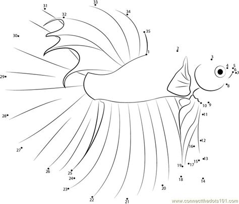 betta coloring pages betta fish colouring pages fish coloring page