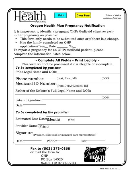 real fake pregnant papers pregnancy verification templatelab