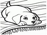 Coloring Dog Pages Printable Book Dogs Print Enchantedlearning sketch template