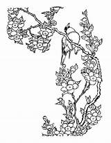 Coloring Cerisier Fleur Japon Oiseau Japonais Coloriages Uccelli Cerisiers Stencil Ccm2 Colorare Partager Ecrire Commentaire sketch template