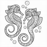 Seahorse Colorir Cavalo Marinho Adults Coloringbay Seahorses sketch template