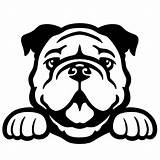 Peeking Bulldogs Mascot Window Bulldogge Stickerdad Cricut sketch template