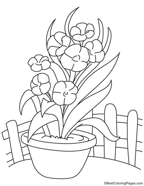 long orchid flower vase coloring page   long orchid