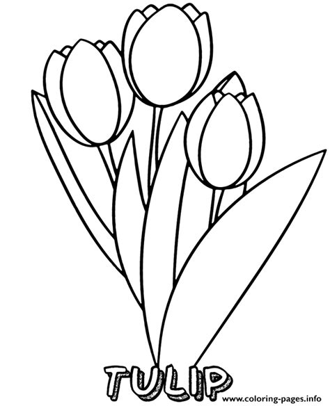 tulips flower printable coloring page printable