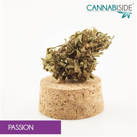 passion cbd hemp flowers outdoor 1g cannabiside