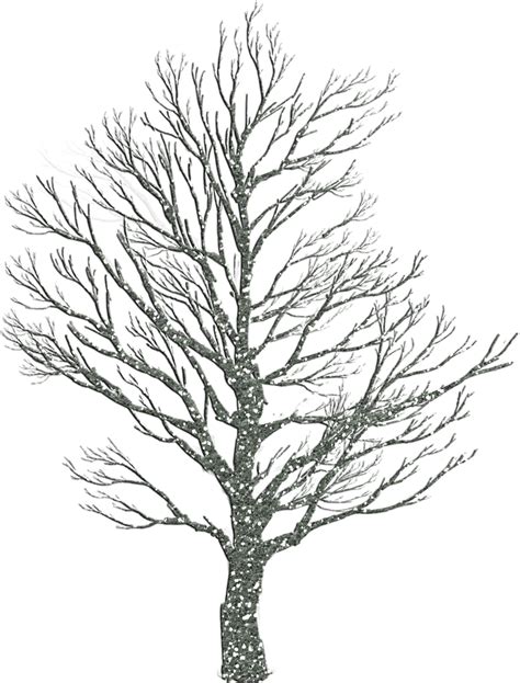 draw winter trees  pics
