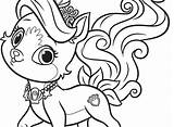 Palace Pets Coloring Pages Getdrawings sketch template