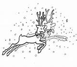 Coloring Reindeer Pages Christmas Flying Drawing Printable Kids Print Return Main Kidprintables Getdrawings Gif sketch template