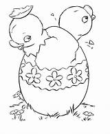 Coloring Easter Chicks Pages Baby Hatching Egg Chick Chicken Children Pair Same Shows sketch template