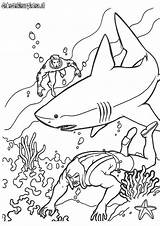 Aquaman Coloring Pages Lego Colouring Kids Library Getdrawings Fun sketch template