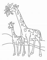 Coloring Pages Giraffe Kids Printable Labels Animal sketch template