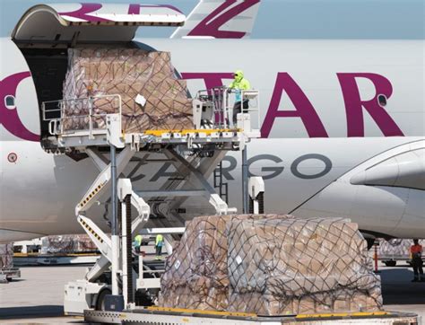 doha air cargo terminal  qatar cargo