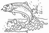 Coloring Trout Apache Wonderful Fish Sheet Pages Kids Beautiful sketch template