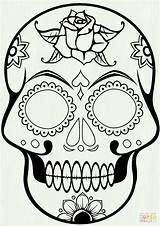Coloring Pages Sugar Getdrawings Skull sketch template
