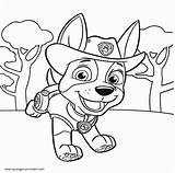 Paw Patrol Coloring Pages Printable Tracker Sheets Cartoon Print Look Other sketch template