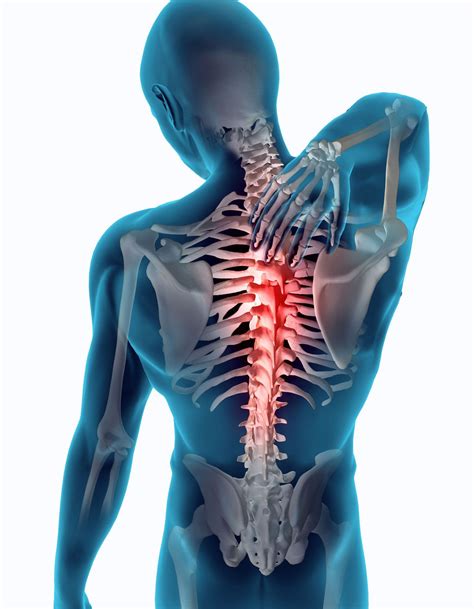 los mensajes de tu cuerpo dolor de espalda zona dorsal completo los mensajes de tu cuerpo