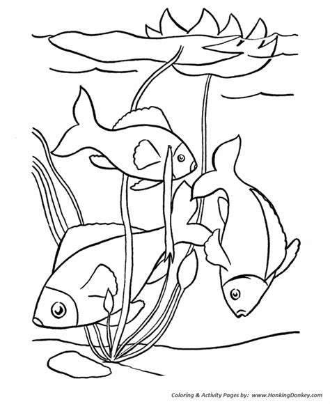 pet fish coloring pages  printable tropical fish pet coloring