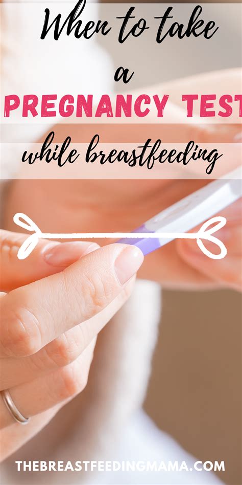 When To Take A Pregnancy Test While Breastfeeding 2024 The