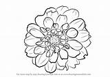 Flower Dahlia Drawing Draw Step Flowers Tutorial Drawings Drawingtutorials101 Tutorials Other Learn Paintingvalley sketch template