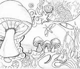 Coloring Pages Mushroom Psychedelic Mushrooms Printable Trippy Adults Wonderland Alice Adult Drawing Toadstool Books Colouring Print Kodak Color Getcolorings Getdrawings sketch template