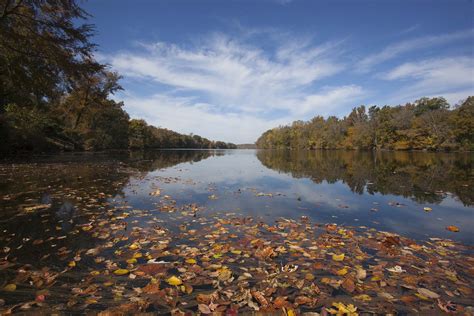 james river earns   latest report card chesapeake bay program