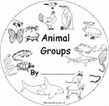 Animal Groups Animals Coloring Pages Printable Science Books Book Enchantedlearning Classification Worksheets Print Teaching Cover Activities Kids Projects Early Readers sketch template
