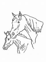 Paarden Kleurplaten Kleurplaat Van Paard Zo Fun Kids Horses sketch template