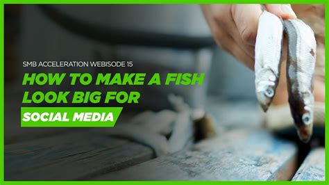 fish  big  social media youtube