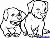 Coloring Pitbull Pages Puppy Dog Drawing Rottweiler Baby Step Pitbulls Draw Printable Dogs Clipart Color Kids Pit Pets Puppies Book sketch template