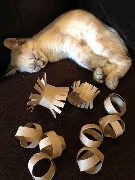 cat toys     toilet paper rolls mad paws blog