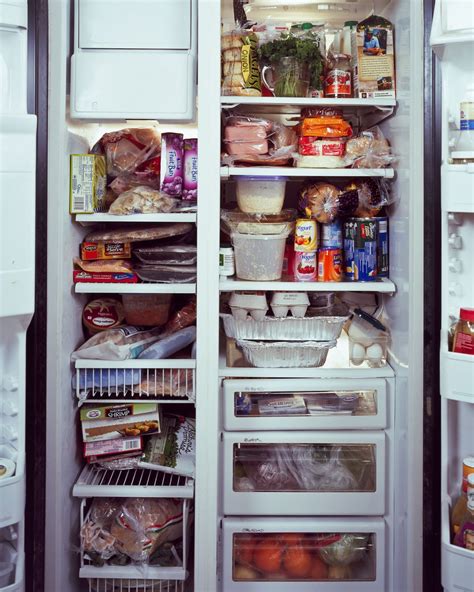 mogantosh       fridge