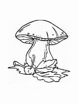 Coloring Pages Mushrooms Mushroom Morel Drawing Printable Getdrawings sketch template