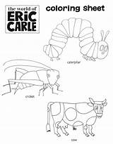 Carle Eric Template Coloring Chameleon sketch template