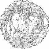 Ritratto Decorato Cavallo Strisce Piume Cavalli Maschio Stallone sketch template