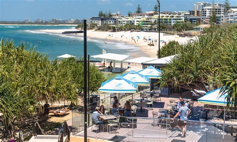 kings beach australia tourism tripadvisor