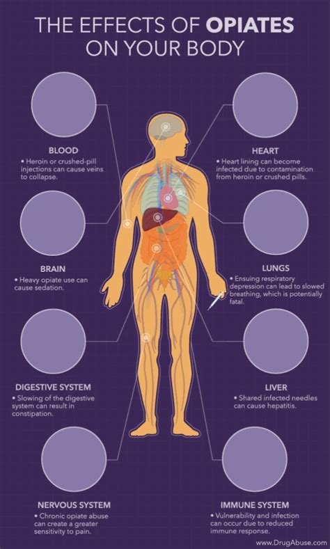the effects of opiates on the body