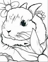 Coloring Rabbit Pages Adults Easter Colouring Printable Color Print Getcolorings sketch template