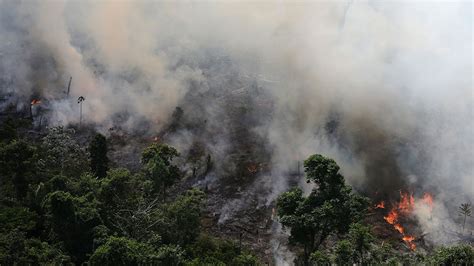 amazon burning ngos dispute bolsonaros claim  started fires brazil news al jazeera
