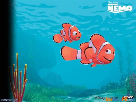 Le Monde De Nemo Finding Nemo Le Film